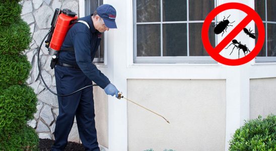 Karşıyaka Fare İlaçlama böcek ilaçlama ve haşere kontrolü — ilaclama-tr.com